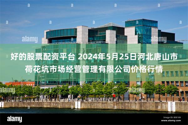 好的股票配资平台 2024年5月25日河北唐山市荷花坑市场经营管理有限公司价格行情