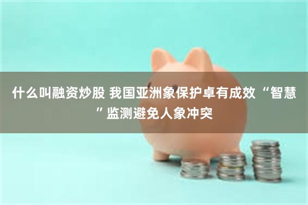 什么叫融资炒股 我国亚洲象保护卓有成效 “智慧”监测避免人象冲突