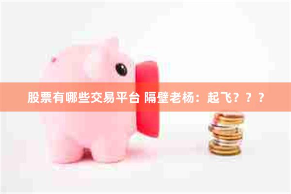 股票有哪些交易平台 隔壁老杨：起飞？？？