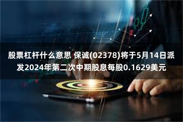 股票杠杆什么意思 保诚(02378)将于5月14日派发2024年第二次中期股息每股0.1629美元
