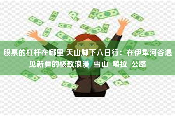 股票的杠杆在哪里 天山脚下八日行：在伊犁河谷遇见新疆的极致浪漫_雪山_喀拉_公路