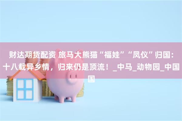 财达期货配资 旅马大熊猫“福娃”“凤仪”归国：十八载异乡情，归来仍是顶流！_中马_动物园_中国