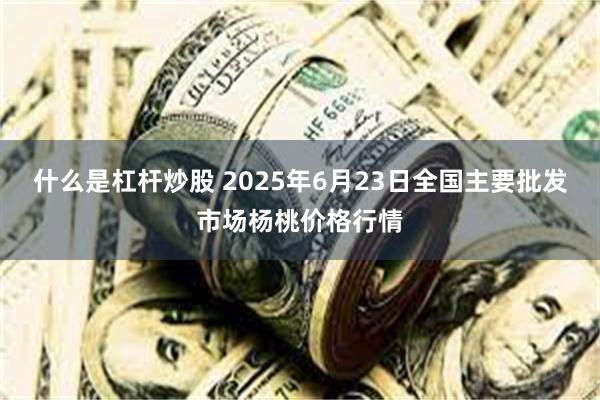 什么是杠杆炒股 2025年6月23日全国主要批发市场杨桃价格行情