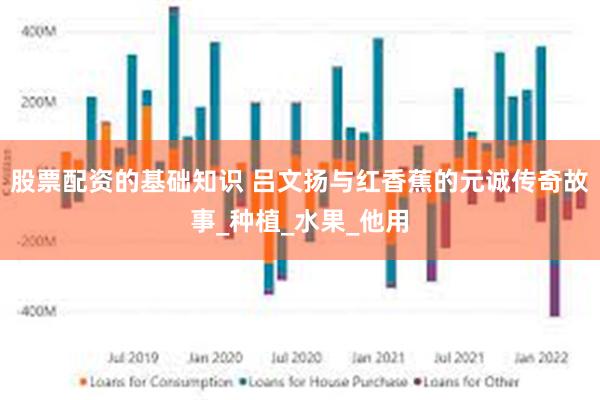 股票配资的基础知识 吕文扬与红香蕉的元诚传奇故事_种植_水果_他用