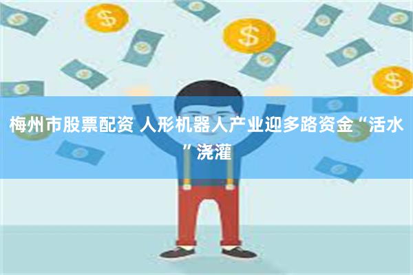 梅州市股票配资 人形机器人产业迎多路资金“活水”浇灌