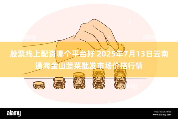 股票线上配资哪个平台好 2025年7月13日云南通海金山蔬菜批发市场价格行情