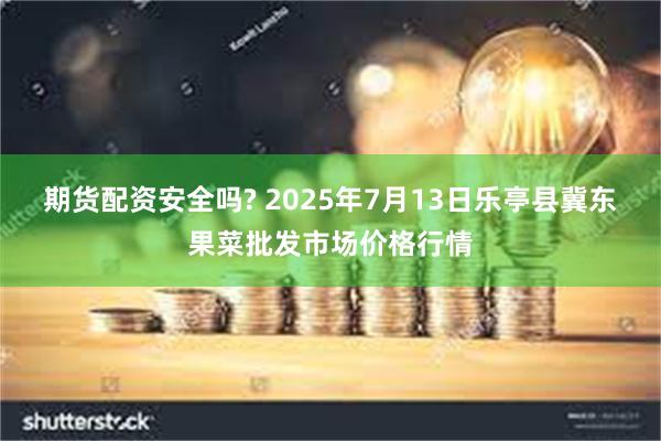 期货配资安全吗? 2025年7月13日乐亭县冀东果菜批发市场价格行情
