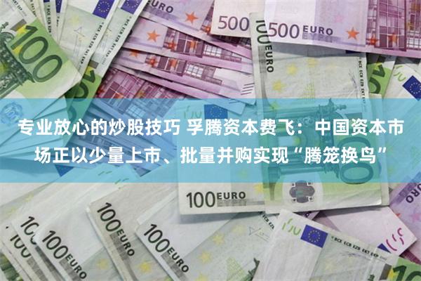 专业放心的炒股技巧 孚腾资本费飞：中国资本市场正以少量上市、批量并购实现“腾笼换鸟”