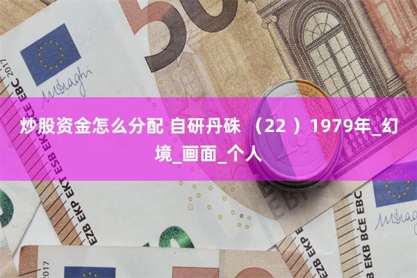 炒股资金怎么分配 自研丹硃 （22 ）1979年_幻境_画面_个人