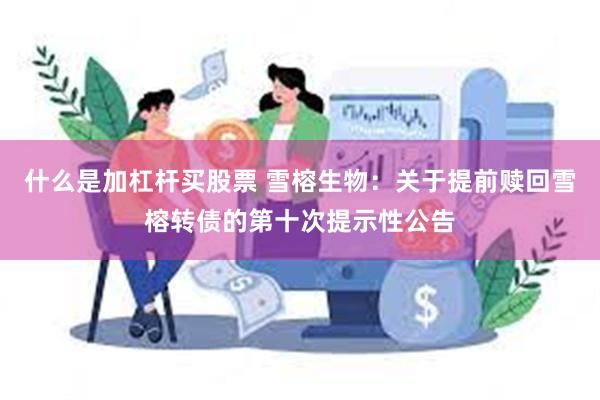 什么是加杠杆买股票 雪榕生物：关于提前赎回雪榕转债的第十次提示性公告